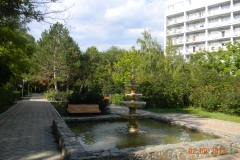 аллея от лечебнго корпуса